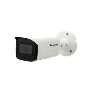 BLW-IB2125-MSW
